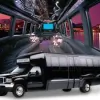 Exceptional Transportation