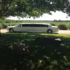 Stagecoach Limousine