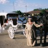 Willow Wind Carriage & Limousine Service