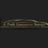 A Posh Limousine Service